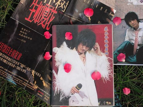 花儿永远依着树