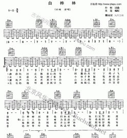 广大人民群众最熟悉朴树的《白桦林》的吉他谱